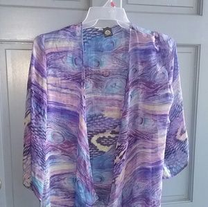 Sheer 3/4 sleeve cover blouse